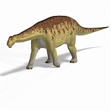 Camarasaurus 10 A_0001